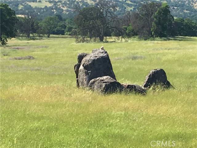Detail Gallery Image 19 of 23 For 2187 Tinkers Penny, Catheys Valley,  CA 95306 - – Beds | – Baths