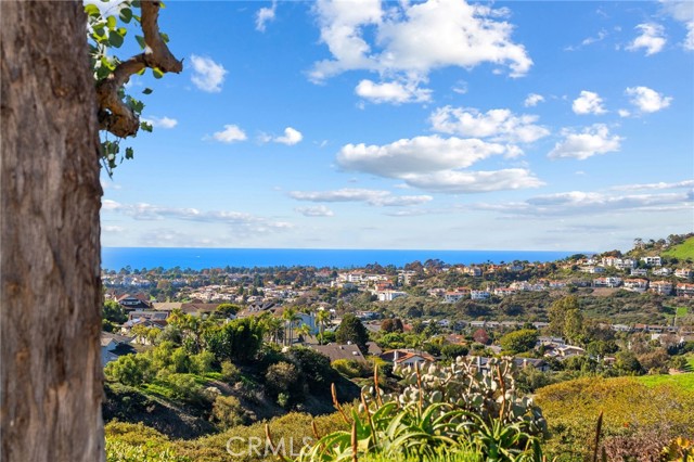 Detail Gallery Image 33 of 64 For 2880 Calle Guadalajara, San Clemente,  CA 92673 - 4 Beds | 2/1 Baths