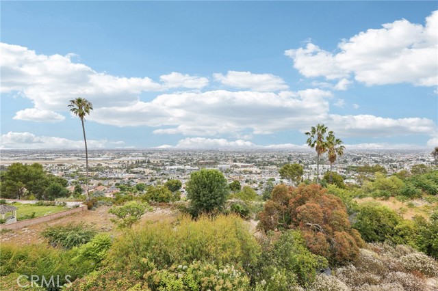 25908 Matfield Drive, Torrance CA: https://media.crmls.org/medias/b20179a9-d63b-467f-beff-31a702c782b7.jpg