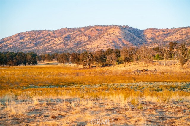 Detail Gallery Image 32 of 39 For 2553 Old Highway, Catheys Valley,  CA 95306 - – Beds | – Baths