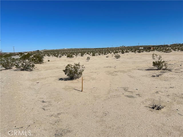 Detail Gallery Image 1 of 1 For 3625 Indian Cove Rd, Twentynine Palms,  CA 92277 - – Beds | – Baths