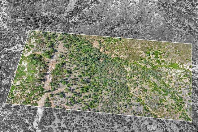 22550 Shady Grove Road, Middletown CA: https://media.crmls.org/medias/b20dc602-1f04-469b-abef-4db5d4de9613.jpg