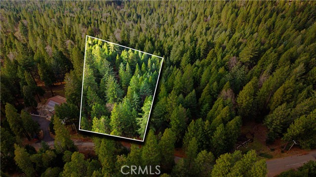 Detail Gallery Image 10 of 22 For 5435 Pine Ridge, Grizzly Flats,  CA 95636 - – Beds | – Baths