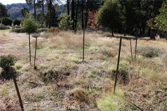 Detail Gallery Image 12 of 17 For 13911 Cluster Ct, Magalia,  CA 95954 - – Beds | – Baths