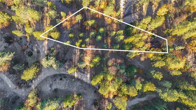 Detail Gallery Image 44 of 71 For 32703 Tulip Lane, Arrowbear,  CA 92382 - 2 Beds | 1 Baths