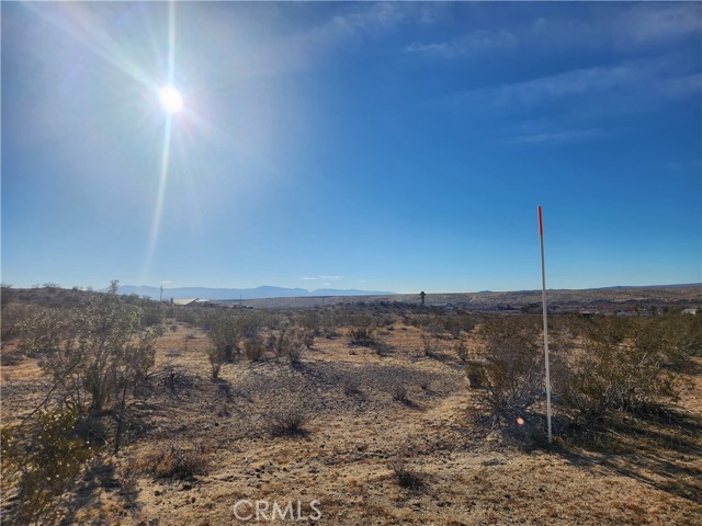 15020 Oleander, Oro Grande, California 93456, ,Land,For Sale,15020 Oleander,CRHD23208929