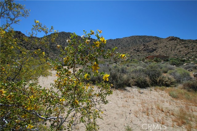 Detail Gallery Image 25 of 38 For 0 San Andreas, Joshua Tree,  CA 92252 - – Beds | – Baths