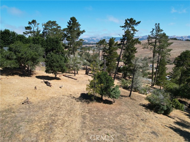 Detail Gallery Image 3 of 7 For 0 Londonderry Ln, Cambria,  CA 93428 - – Beds | – Baths