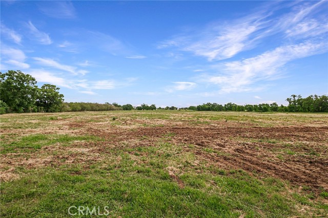 Detail Gallery Image 60 of 72 For 9720 Highway 99e, Los Molinos,  CA 96055 - 4 Beds | 2/1 Baths