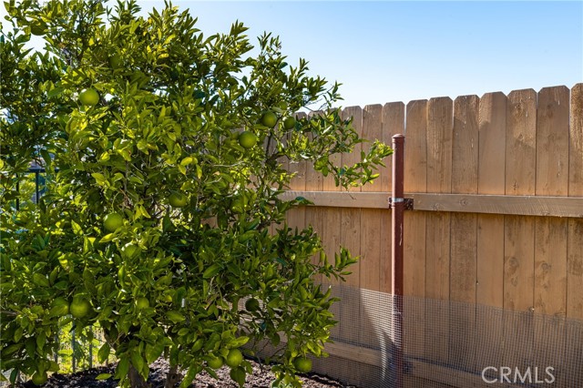 5942 Oak Meadow Drive, Yorba Linda photo 26