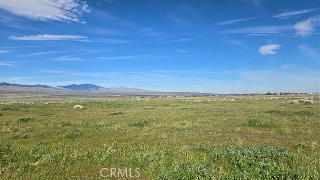 Detail Gallery Image 21 of 36 For 0 Vicinity Ave B12 & 265th St W, –,  CA 93536 - – Beds | – Baths