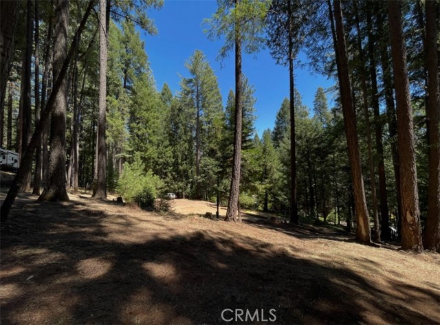 Image 4 of 5 For 14887 Hickok Ct