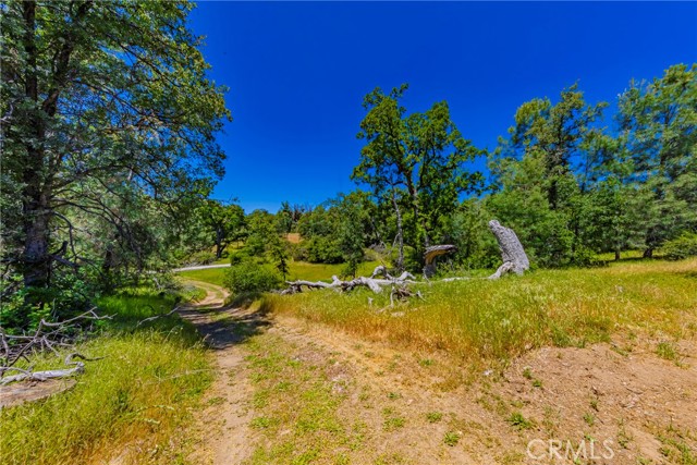 Detail Gallery Image 46 of 59 For 47457 Road 620, Oakhurst,  CA 93644 - 4 Beds | 3 Baths