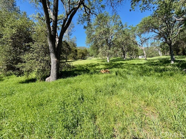 Detail Gallery Image 3 of 10 For 0 Av Ranch Rd, –,  CA 93928 - – Beds | – Baths