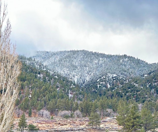 Detail Gallery Image 2 of 35 For 26601 Big Pines, Wrightwood,  CA 92397 - 3 Beds | 2/1 Baths