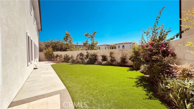 B240302a A49a 44fc 8b64 B21ea755b0c1