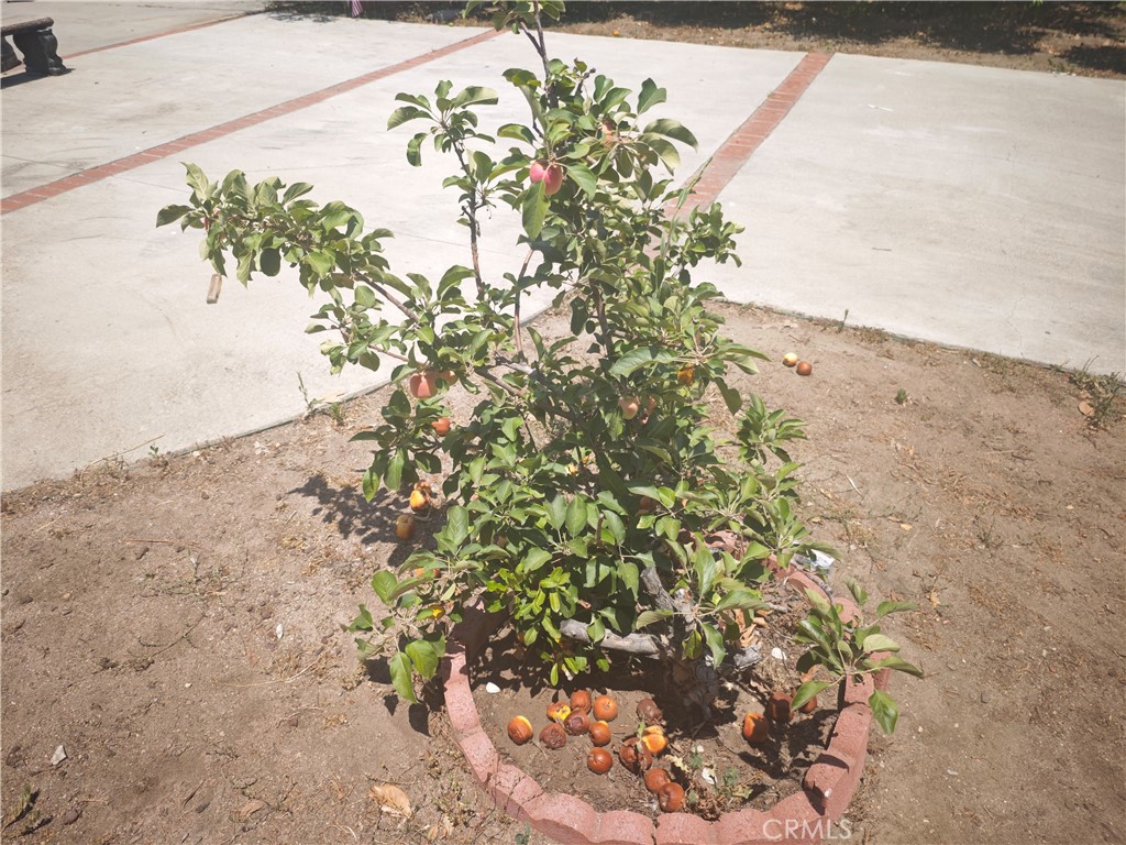 https://media.crmls.org/medias/b2430076-f428-42a7-b627-93da4e268d68.jpg?preset=X-Large