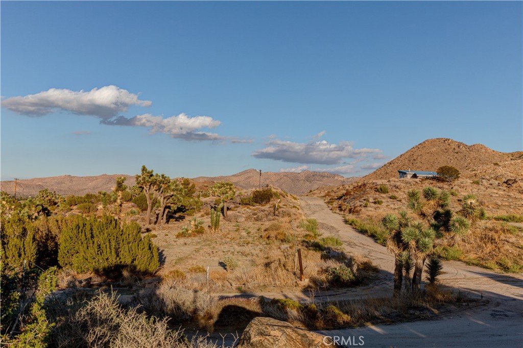 MLS #JT25229239 image #33