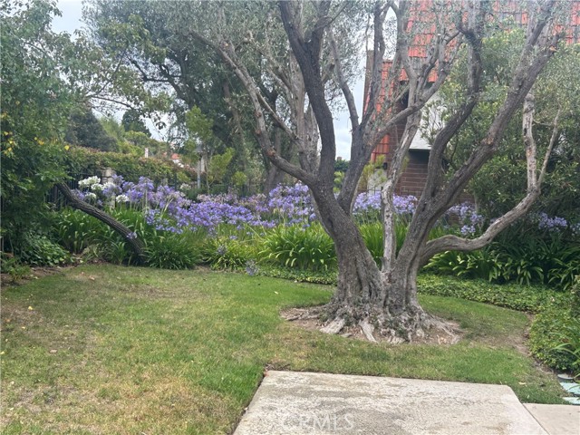 28037 Ridgebrook Court, Rancho Palos Verdes CA: https://media.crmls.org/medias/b243c0f3-cb80-47d0-927b-b15001011ad1.jpg