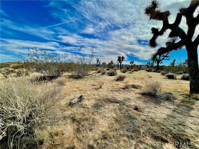 0 La Brisa Drive, Yucca Valley, California 92284, ,Land,For Sale,0 La Brisa Drive,CRJT24007447