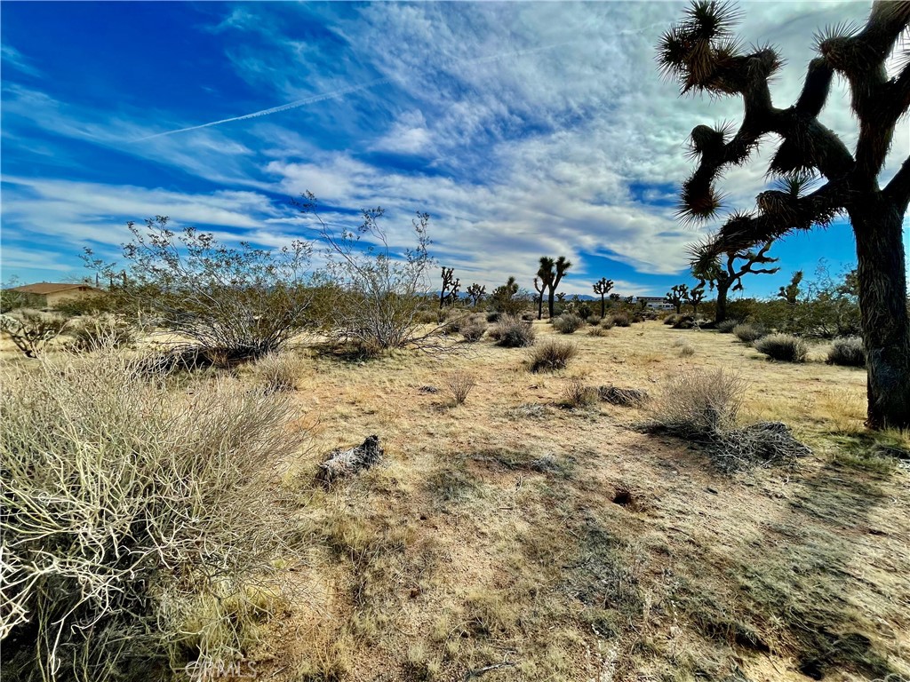 MLS #JT24007447 image #7