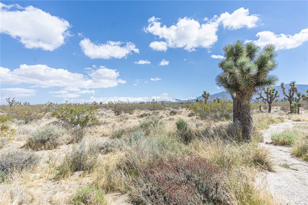 MLS #HD25097253 image #6