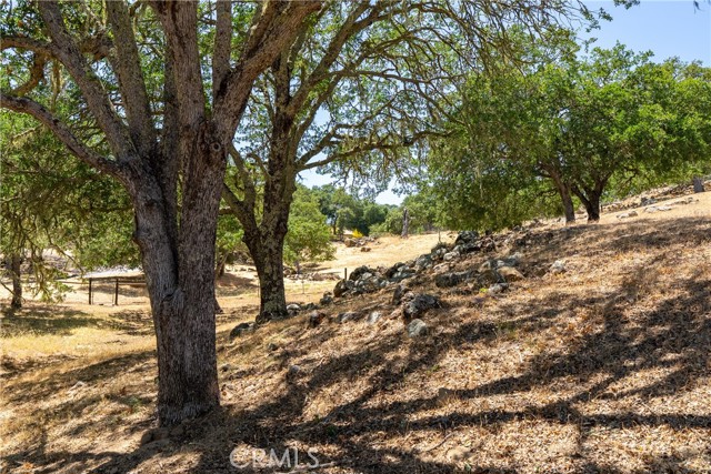 Detail Gallery Image 69 of 75 For 6600 San Gabriel Rd, Atascadero,  CA 93422 - 4 Beds | 2/1 Baths