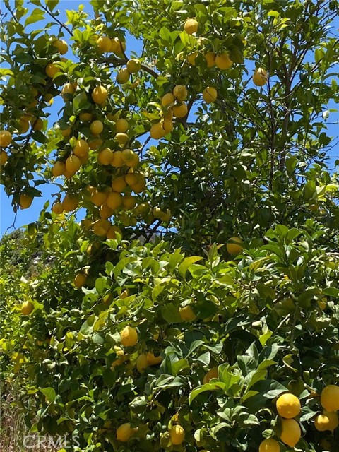 0 El Calamar Rd, Temecula CA: https://media.crmls.org/medias/b24e0a1e-ec1d-4099-b5fc-b0ead4a11694.jpg