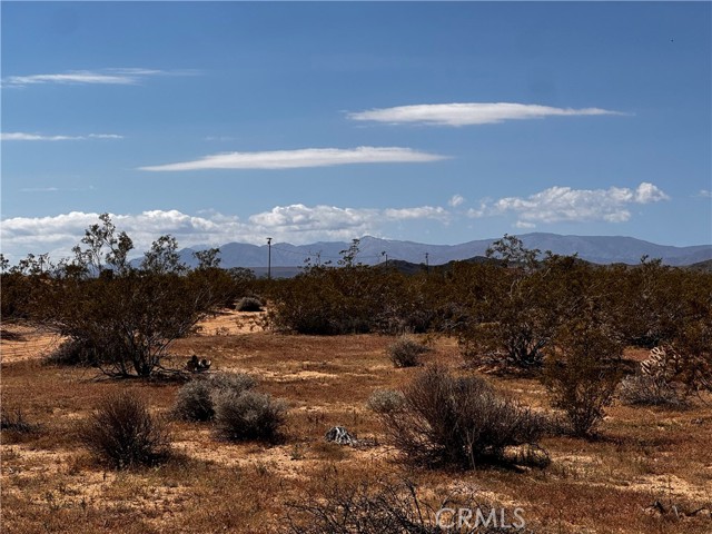 Detail Gallery Image 4 of 10 For 0 Orion Dr, Joshua Tree,  CA 92252 - – Beds | – Baths