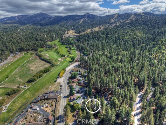 42824 Cedar Avenue, Big Bear Lake, CA 92315