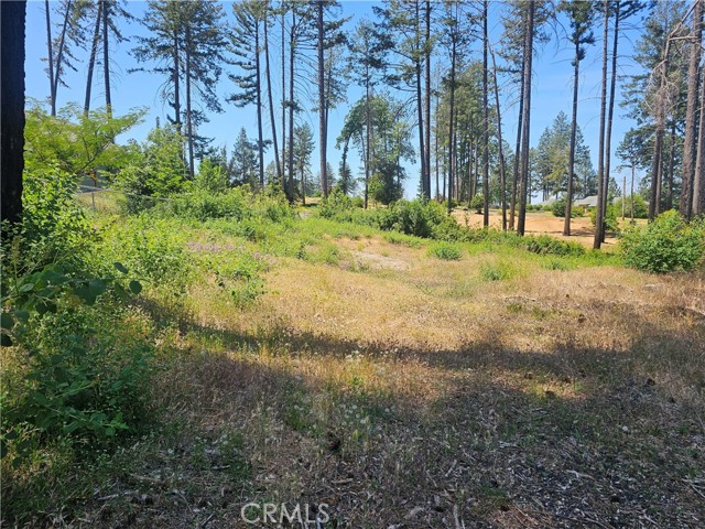 Detail Gallery Image 7 of 11 For 6649 Lincoln, Paradise,  CA 95969 - – Beds | – Baths