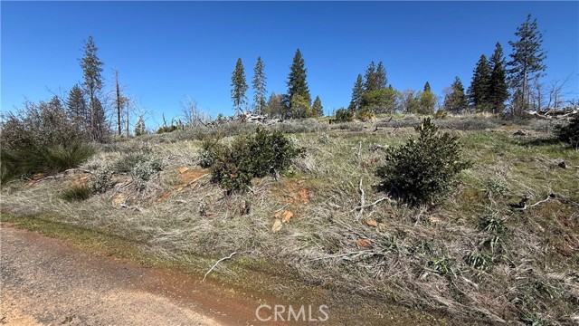 Detail Gallery Image 12 of 12 For 0 Starcrest Ln, Berry Creek,  CA 95916 - – Beds | – Baths