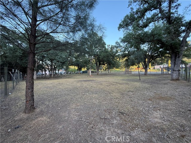 Detail Gallery Image 6 of 12 For 16812 Stagecoach Rd, Corning,  CA 96021 - – Beds | – Baths