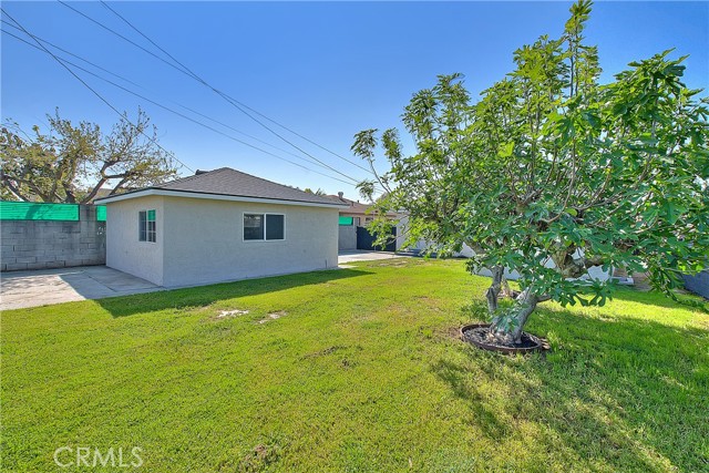 Backyard Grass Area