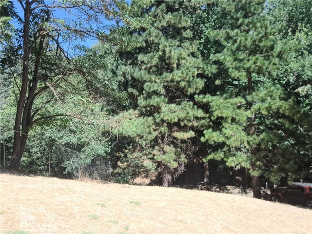 Detail Gallery Image 2 of 3 For 24814 Edelweiss, Crestline,  CA 92325 - – Beds | – Baths