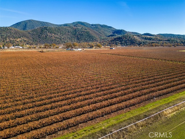 Detail Gallery Image 8 of 26 For 4150 Gaddy Ln, Kelseyville,  CA 95451 - – Beds | – Baths