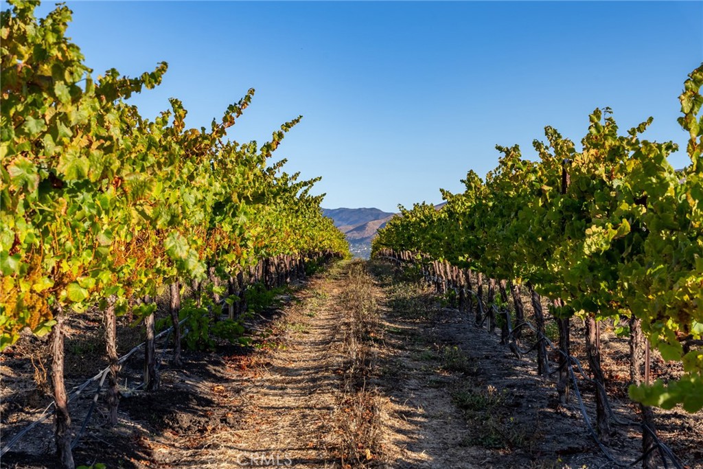 MLS #NS25194884 image #66