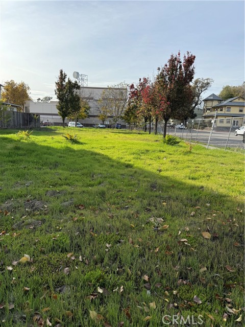 Detail Gallery Image 3 of 4 For 1446 Park, Paso Robles,  CA 93446 - – Beds | – Baths