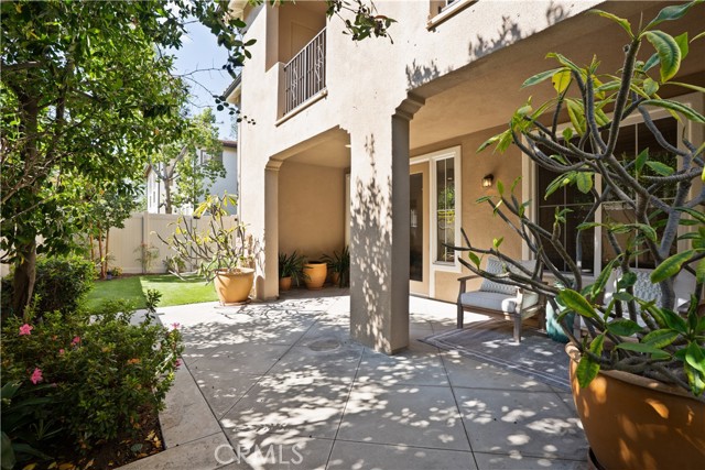 Front Image Thumbnail for CROC26074345