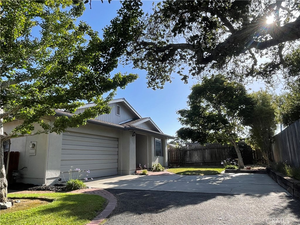 1039 Maple Street