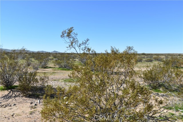 Detail Gallery Image 5 of 31 For 25 Frontier, Helendale,  CA 92342 - – Beds | – Baths