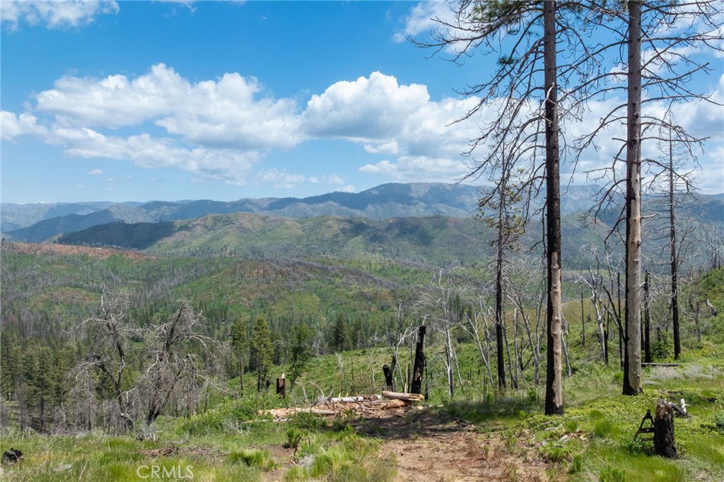MLS #MP25088475 image #46