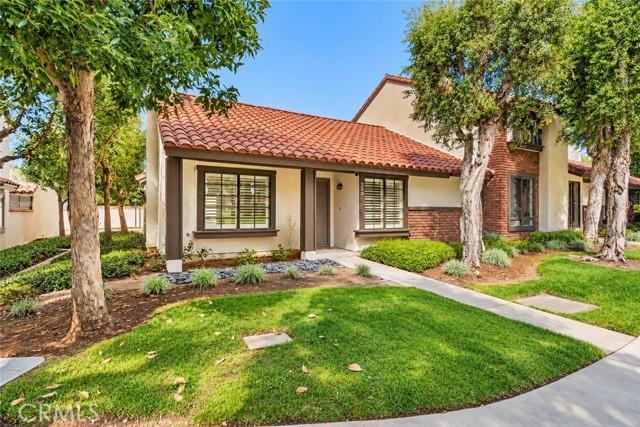 206 San Luis Rey photo 20