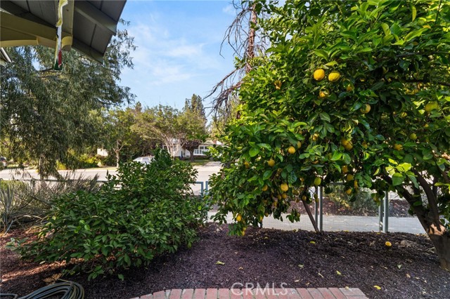 Detail Gallery Image 26 of 27 For 74 N N Buena Vista, Redlands,  CA 92373 - 3 Beds | 2 Baths