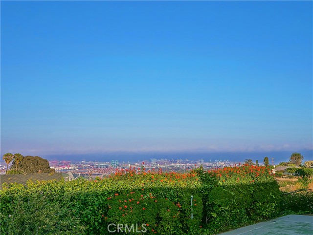 View of the harbor from backyard/sports court