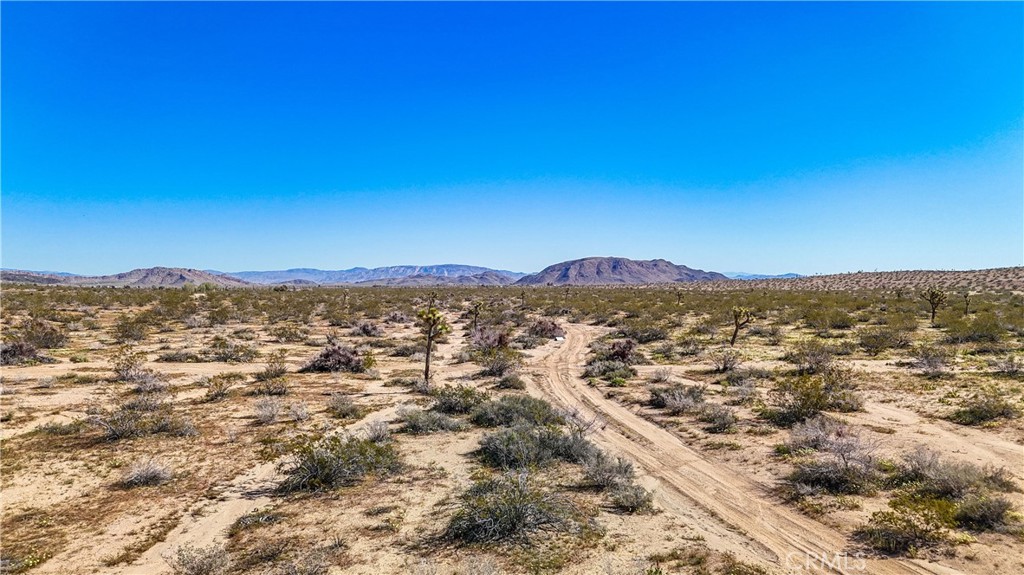 MLS #JT25078936 image #20