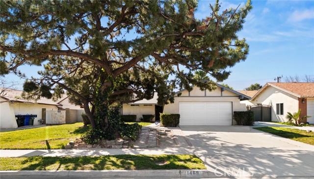 Front Image Thumbnail for CRCV26029893