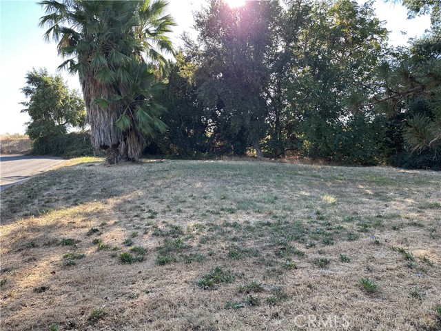 Detail Gallery Image 2 of 4 For 0 Oak St, Willows,  CA 95988 - – Beds | – Baths