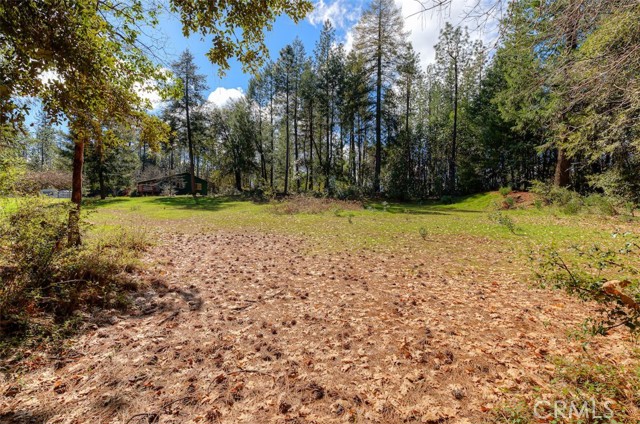 Detail Gallery Image 37 of 52 For 712 Bloomer Hill, Berry Creek,  CA 95916 - 2 Beds | 1/1 Baths