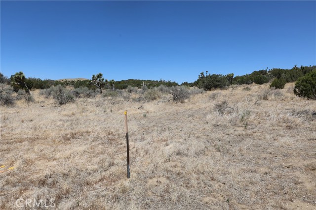 Detail Gallery Image 47 of 58 For 0 Longview Rd, Pearblossom,  CA 93553 - – Beds | – Baths